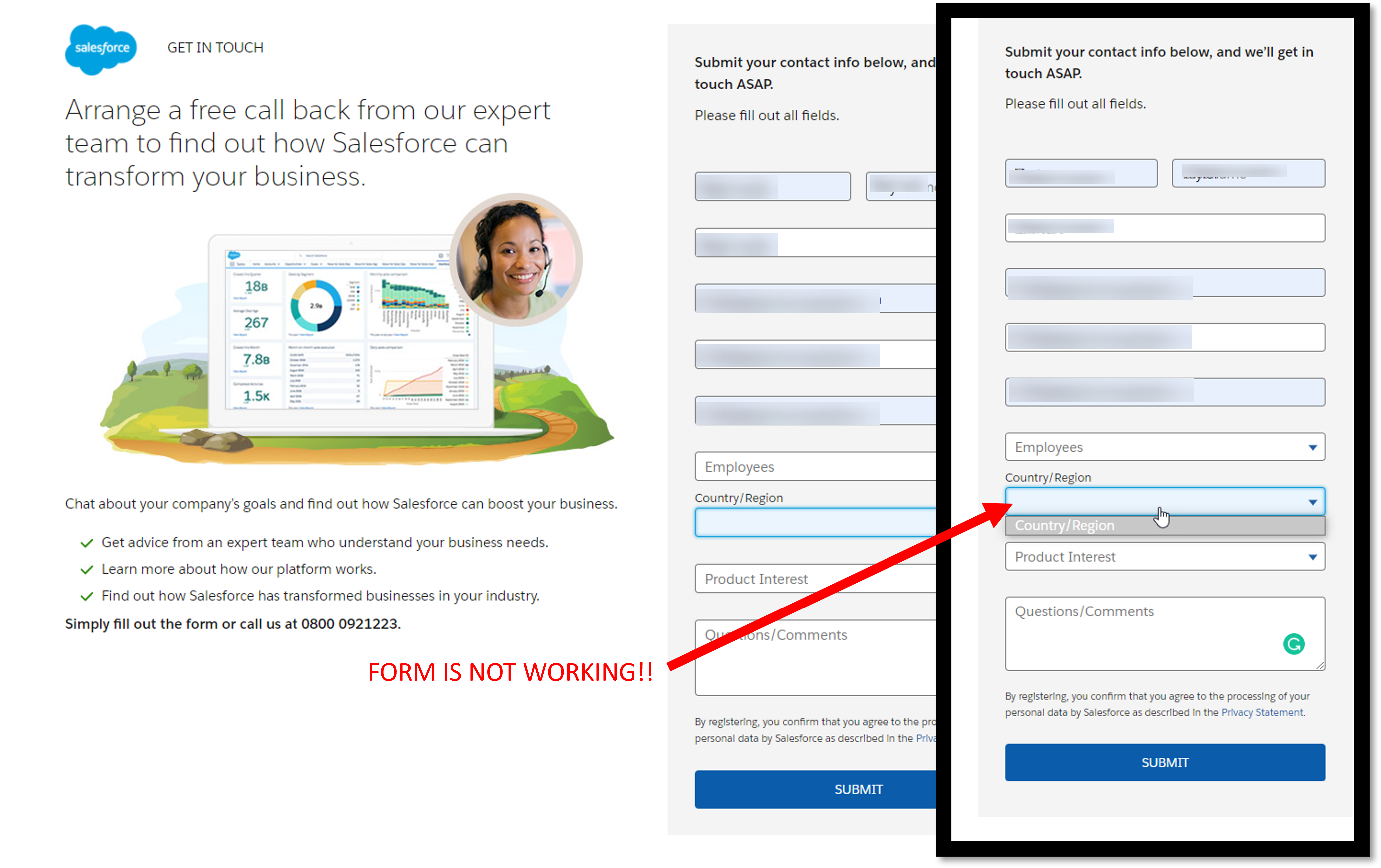 Salesforce demo form-2